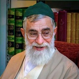 محمود وجيه الدين