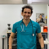 Dr Mohamed Elgendy Veterinary channel