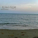 تـلاوات مختارة