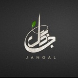 رسانه جنگل