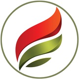 ПрофБанкинг
