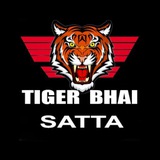 TIGER SATTA KING