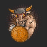 Binolla Free Trade Binary Signals