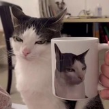 Curiosidades, memes y más...