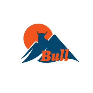 Pahadi Bull