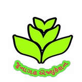 @ Junagadh_Education @