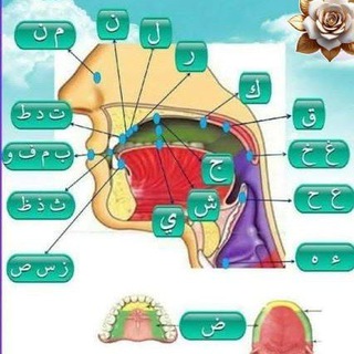 مخارج الحروف