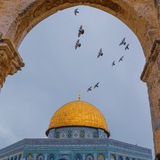 خلفيات HD