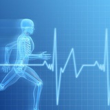 Physiology and anatomy mcqs