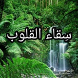 ✨ سِقاء القلوب ✨