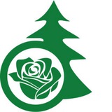 Розовый сад 🌲