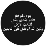 Tariq Hamed - طارق حامد