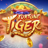 Robô Fortune Tiger 🐯