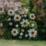 ❀ إيناس ❀