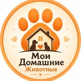Мои Домашние Животные