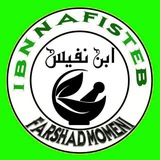 ابن نفیس طب