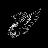 🦅 SOKOLL CHANNEL