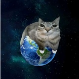 Meme Space