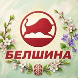 Белшина | LIVE