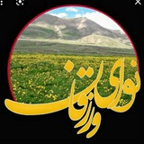 ❤ نوای ورزقان ❤
