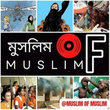 Muslim of মুসলিম