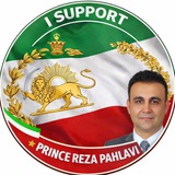 Amin Shojaei I امین شجاعی
