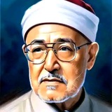 الشيخ محمد الغزالي