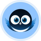 Magpie Announcement