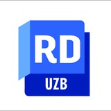 Revit and designer