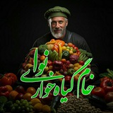 دوره خام گیاهخواری نوا