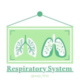 Respiratory System