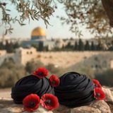 درة المسك