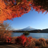 Планета Земля 🍁