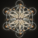 Universo Fungi