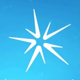 Salvo | Official News