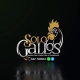 SOLO GALLOS
