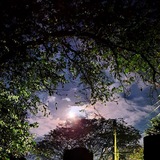 Espiritualidade, Sete Raios e a Grande Fraternidade Branca