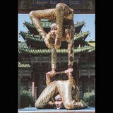 ONLY CONTORTION FANS