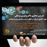 نکات باکتری٬انگل٬ویروس و قارچ پزشکی