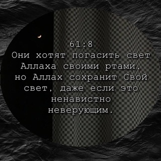 Нашиды
