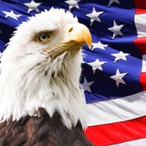 All About USA ๐บ๐ธ