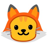 趣猫 🐱