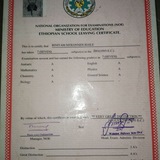Mr. Biniyam Online College of Teaching and Learning