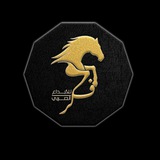 منصة فكر للإبداع العربي