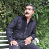 فرزاد فرجی