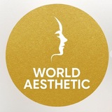 world aesthetic education