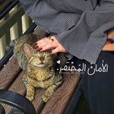 الأمانّ المُختَصر .
