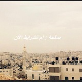 إم الشرايط الآن
