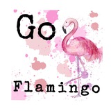 Go flamingo 🖤