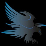 تعليم التداول الإحترافي 🦅